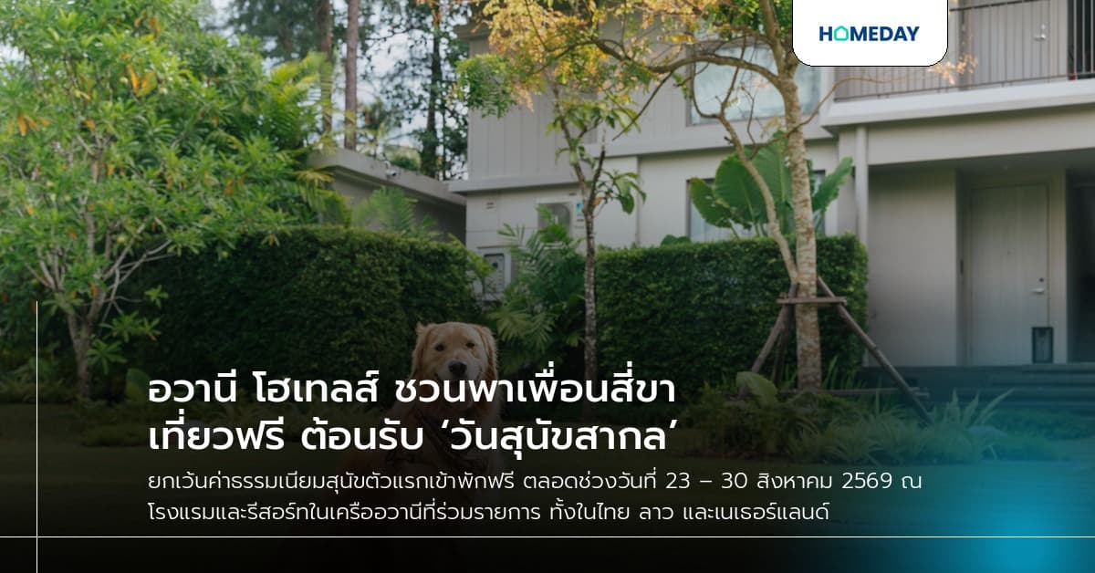 อวานี โฮเทลส์ ชวนพาเพื่อนสี่ขาเที่ยวฟรี ต้อนรับ ‘วันสุนัขสากล’