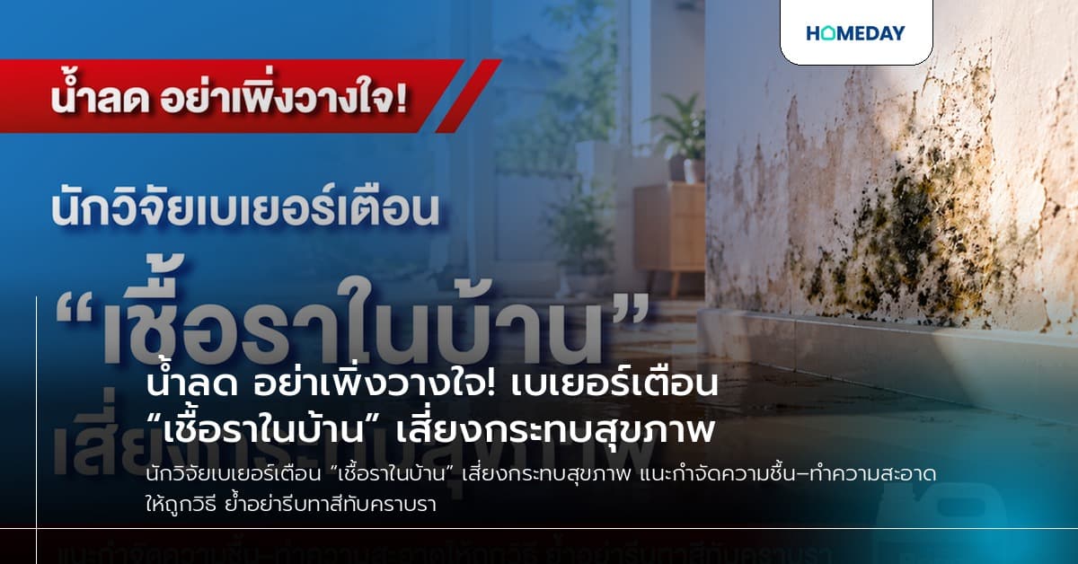 น้ำลด อย่าเพิ่งวางใจ! เบเยอร์เตือน “เชื้อราในบ้าน” เสี่ยงกระทบสุขภาพ