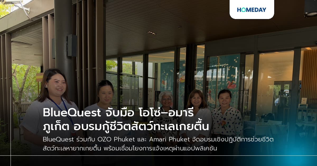 BlueQuest จับมือ โอโซ่–อมารี ภูเก็ต อบรมกู้ชีวิตสัตว์ทะเลเกยตื้น