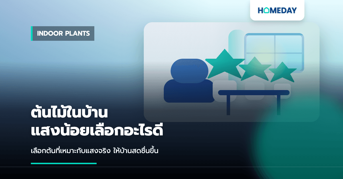 ต้นไม้ในบ้านแสงน้อยเลือกอะไรดี? วิธีปลูกให้รอดและทำให้บ้านสดชื่นขึ้น