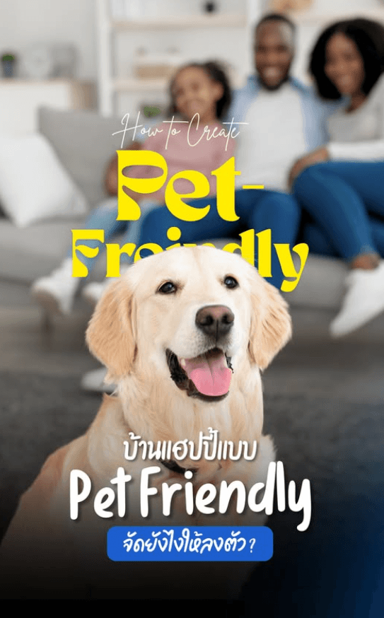 บ้านแฮปปี้แบบ Pet Friendly จัดยังไงให้ลงตัว? คลิปนี้มีคำตอบ