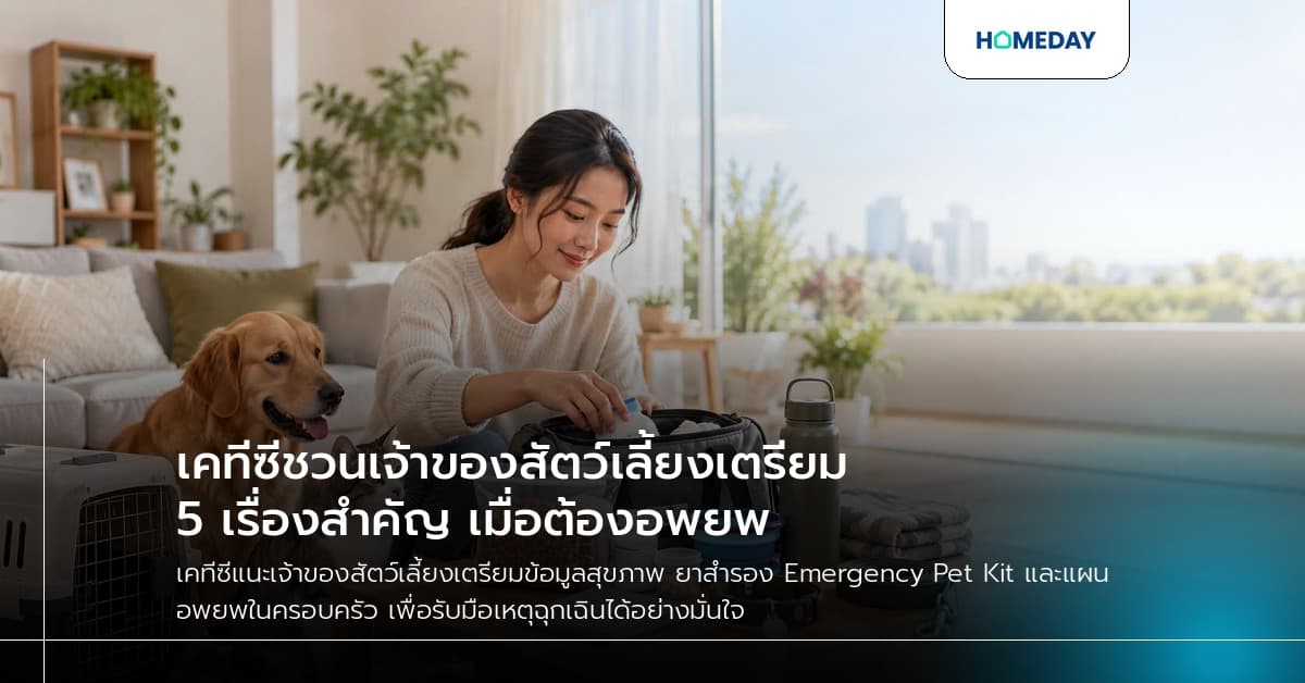 เคทีซีชวนเจ้าของสัตว์เลี้ยงเตรียม 5 เรื่องสำคัญ เมื่อต้องอพยพ