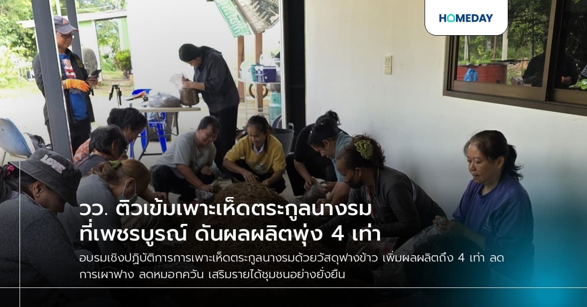 วว. ติวเข้มเพาะเห็ดตระกูลนางรมที่เพชรบูรณ์ ดันผลผลิตพุ่ง 4 เท่า