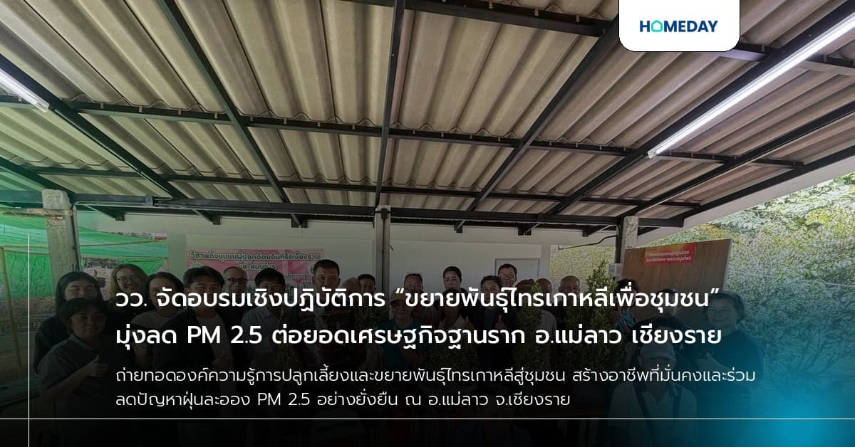 วว. จัดอบรมเชิงปฏิบัติการ “ขยายพันธุ์ไทรเกาหลีเพื่อชุมชน” มุ่งลด PM 2.5 ต่อยอดเศรษฐกิจฐานราก อ.แม่ลาว เชียงราย