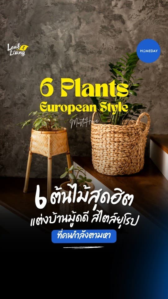 อยากแต่งบ้านให้ได้มู้ดดี ๆ แบบยุโรป...ทำได้ง่ายกว่าที่คิดนะ!