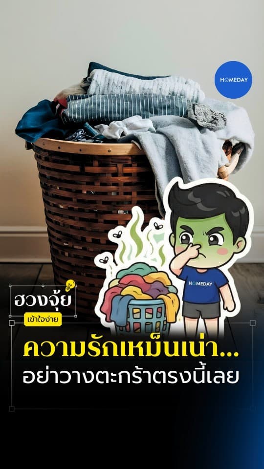 ฮวงจุ้ย: ตะกร้าผ้าคือของที่พลังค้างแรงที่สุดชิ้นหนึ่งในบ้าน