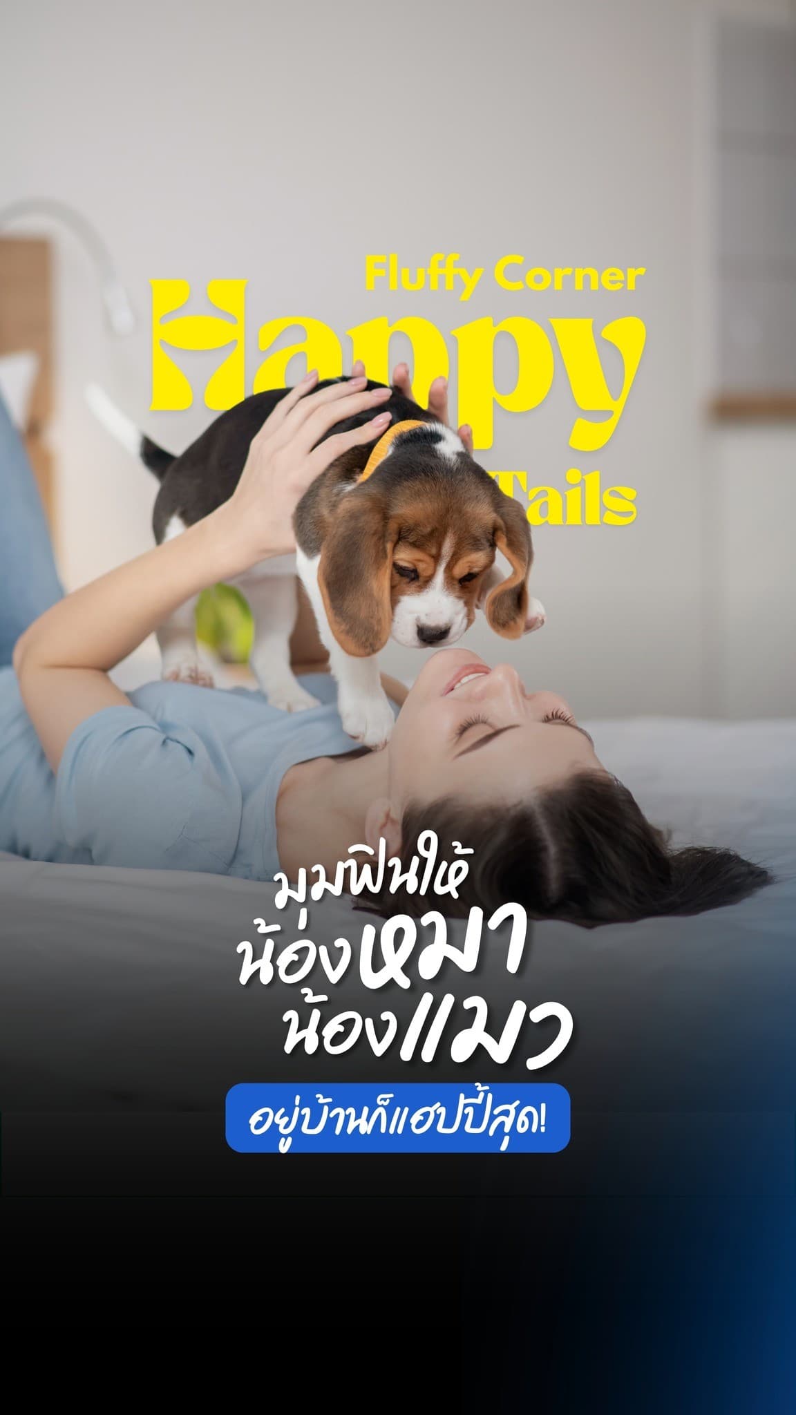 ไอเดียจัดมุมพักผ่อนสำหรับสุนัขและแมวในบ้าน