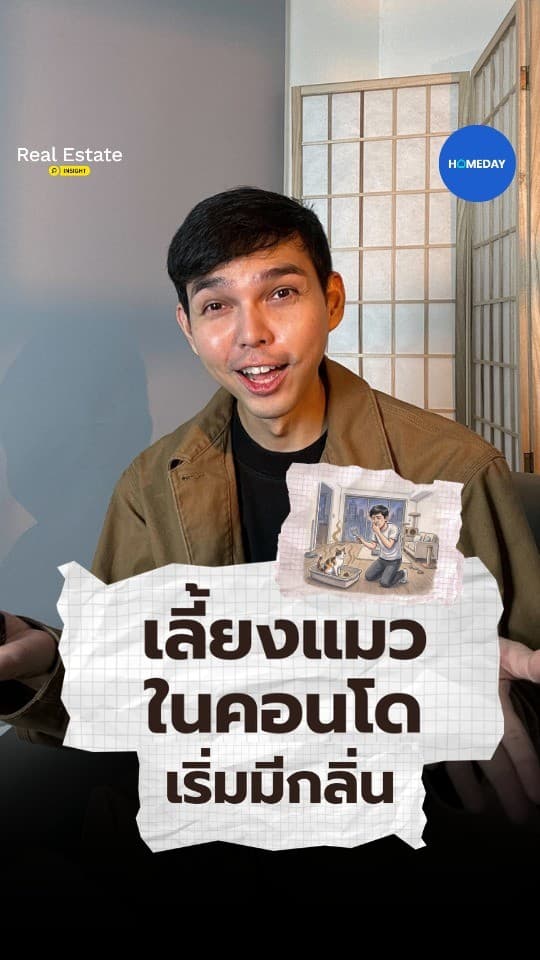 เลี้ยงแมวในคอนโดให้ห้องไม่มีกลิ่น ต้องดูทั้งกระบะทราย อากาศ และมุมน้อง