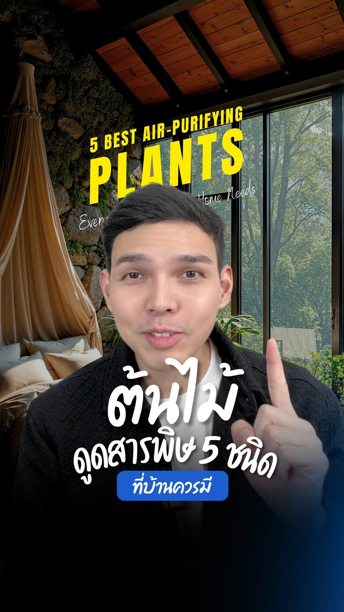 ต้นไม้ไม่ได้แค่ตกแต่ง แต่ช่วยเปลี่ยน อากาศ ในบ้านให้ดีขึ้น