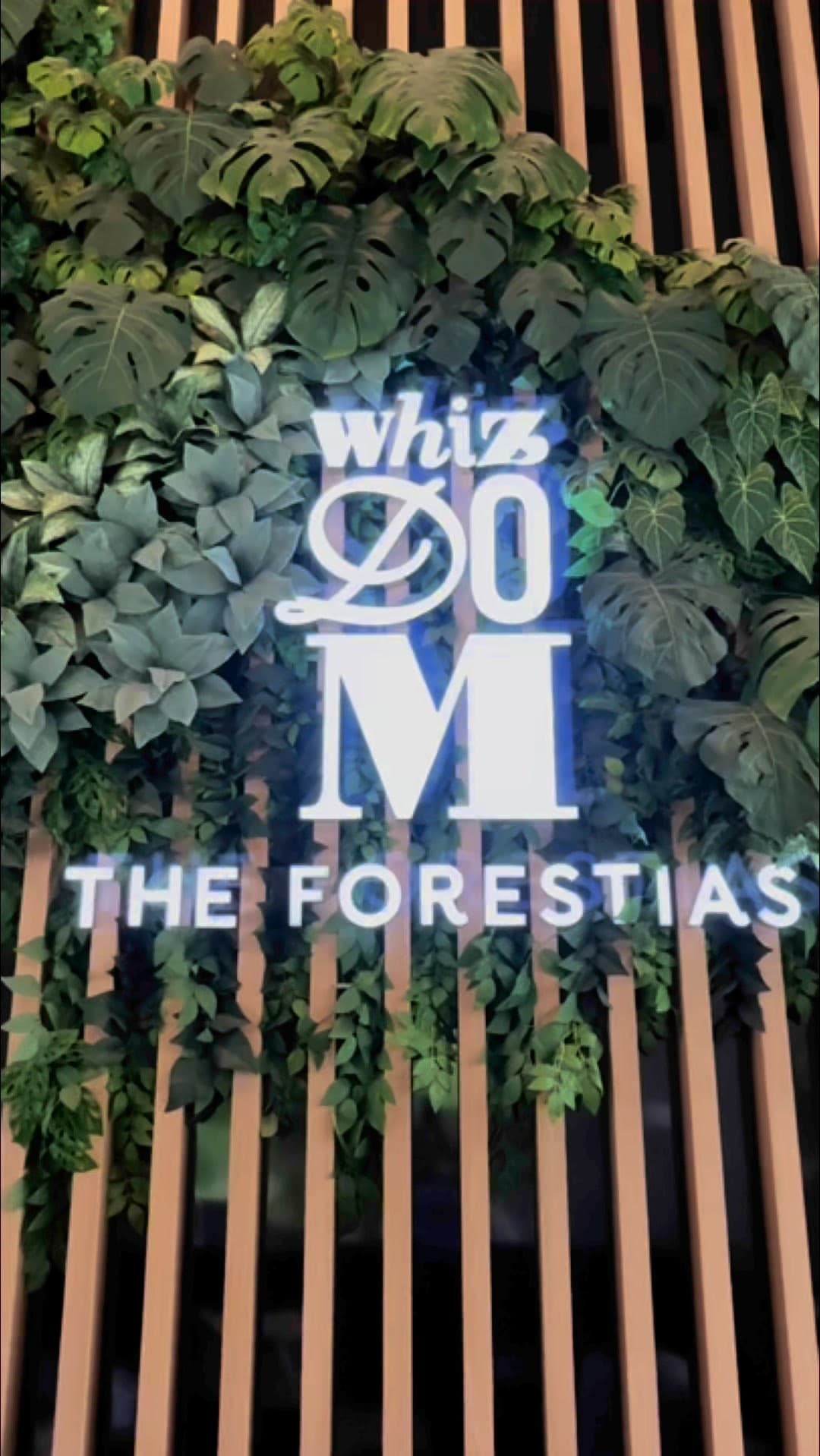 คอนโดของน้องๆ Whizdom The Forestias Petopiaชมวิว และห้องจริงได้เลยpetlover petfriendlycondo