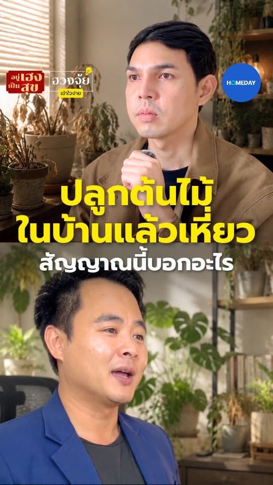 ปลูกต้นไม้ในบ้านแล้วเหี่ยว สัญญาณนี้บอกอะไร?