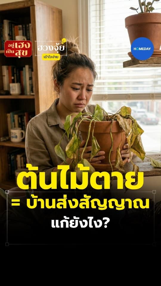 ฮวงจุ้ย: ต้นไม้ในบ้านคือเครื่องวัดพลังงานที่ตรงสุด บางครั้งมันไม่ได้ตายเพราะดูแลไม่ดี...