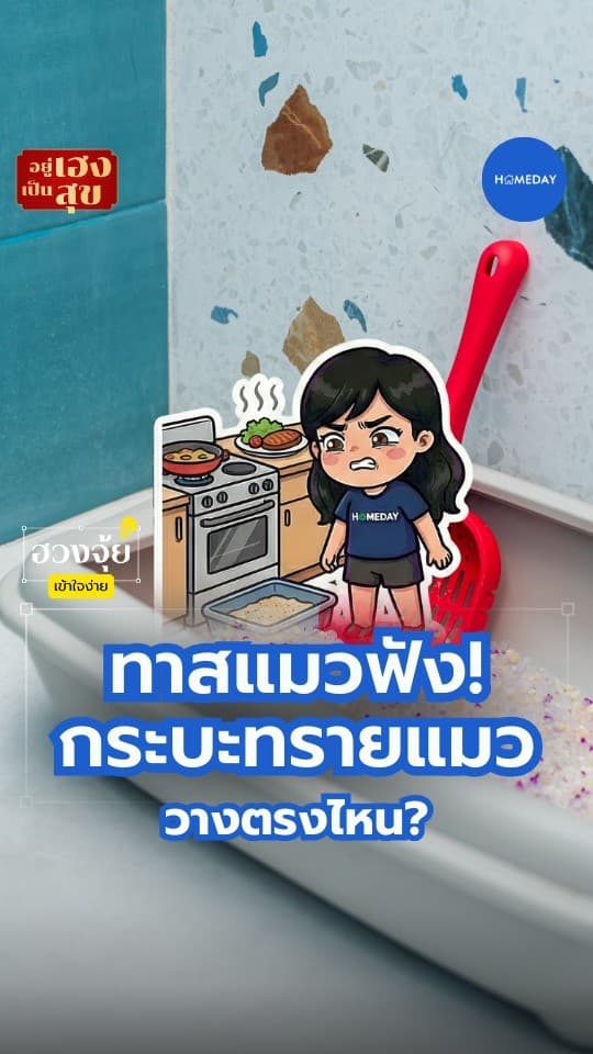 ฮวงจุ้ย: กระบะทรายแมว ควรวางตรงไหนของบ้านให้สะอาดและใช้งานสะดวก