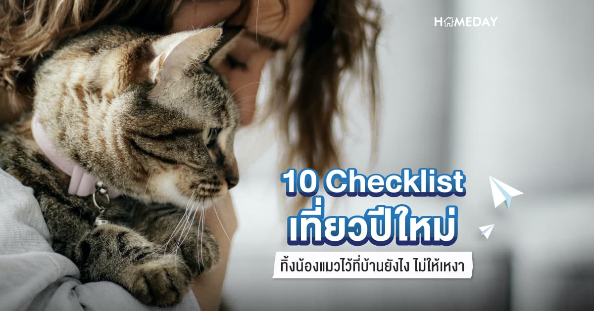 10 Checklist เที่ยวปีใหม่ ทิ้งน้องแมวไว้ที่บ้านยังไง ไม่ให้เหงา
