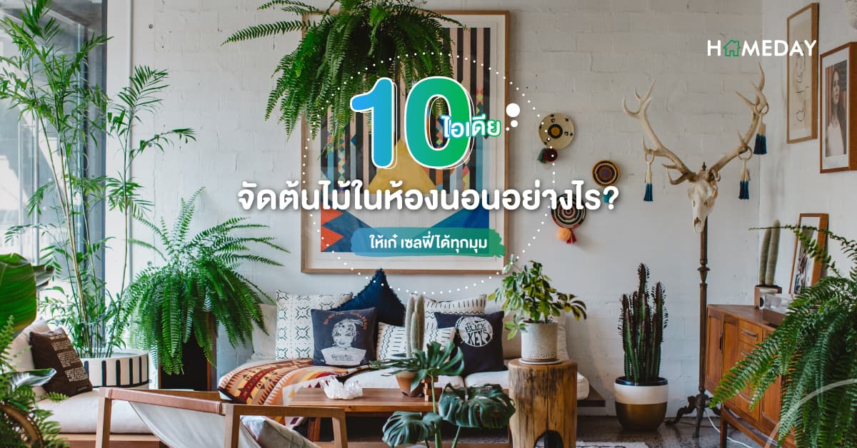 10 ไอเดียจัดต้นไม้ในห้องนอนอย่างไร? ให้เก๋ เซลฟี่ได้ทุกมุม