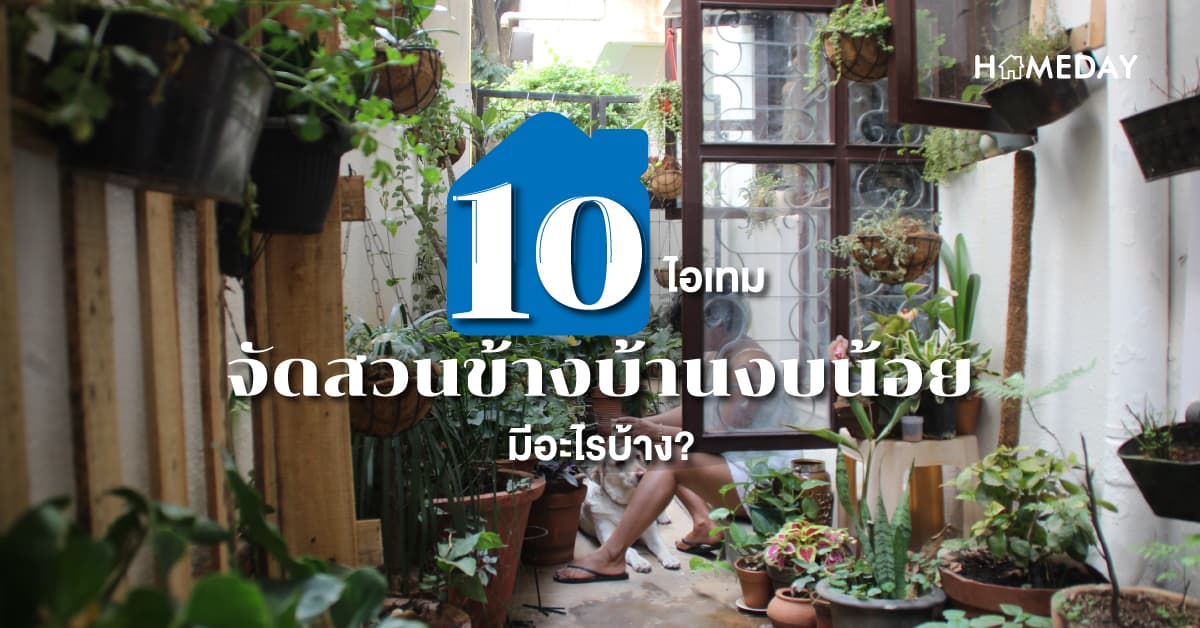 10 ไอเทม จัดสวนข้างบ้านงบน้อย มีอะไรบ้าง?