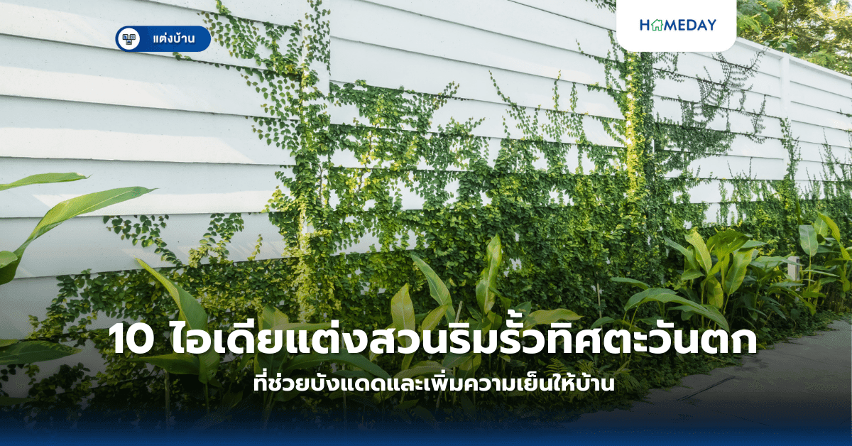 10 ไอเดียแต่งสวนริมรั้วทิศตะวันตก ที่ช่วยบังแดดและเพิ่มความเย็นให้บ้าน