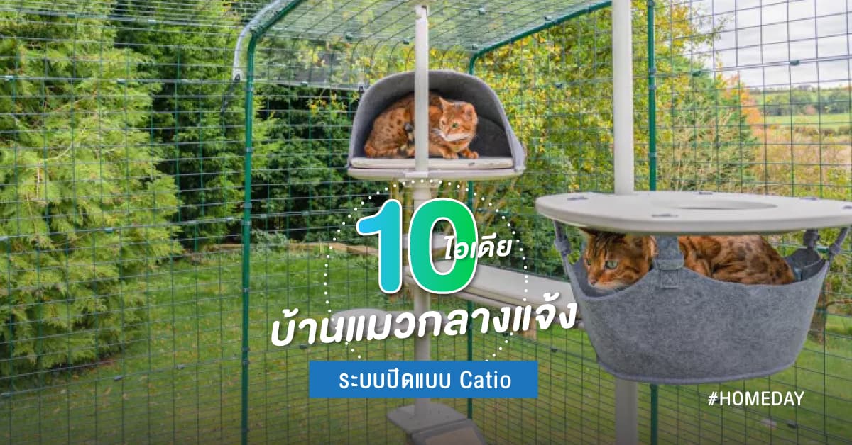 10 ไอเดีย บ้านแมวกลางแจ้งระบบปิดแบบ Catio
