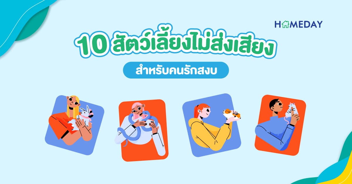 10 สัตว์เลี้ยงไม่ส่งเสียง สำหรับคนรักสงบ