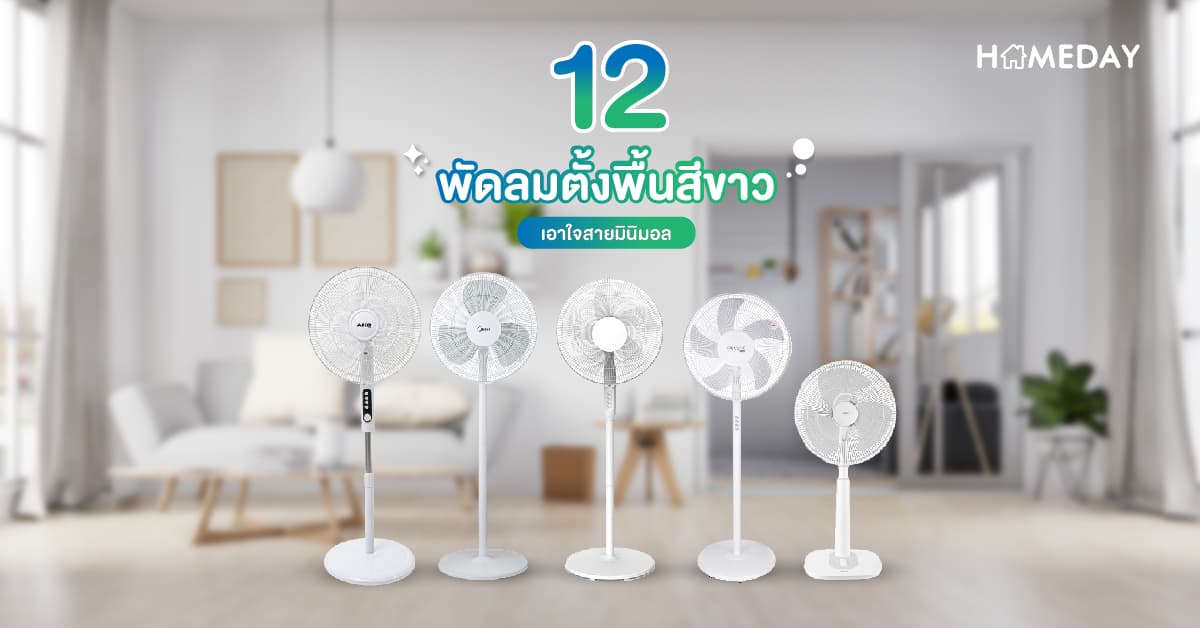 12 แบบ พัดลมมินิมอล ตั้งพื้นสีขาว