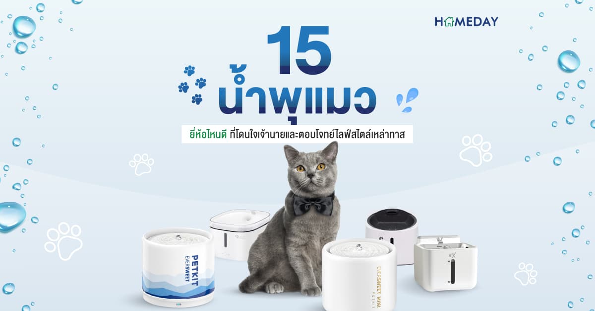 15 น้ำพุแมว ยี่ห้อไหนดี ที่โดนใจเจ้านายและตอบโจทย์ไลฟ์สไตล์เหล่าทาส