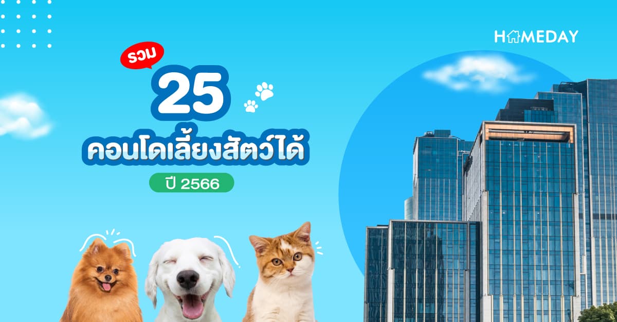 25 คอนโดเลี้ยงสัตว์ได้ ปี 2566 Pet Friendly แบบไม่ต้องแอบ ตอบโจทย์ คนรักหมา รักแมว