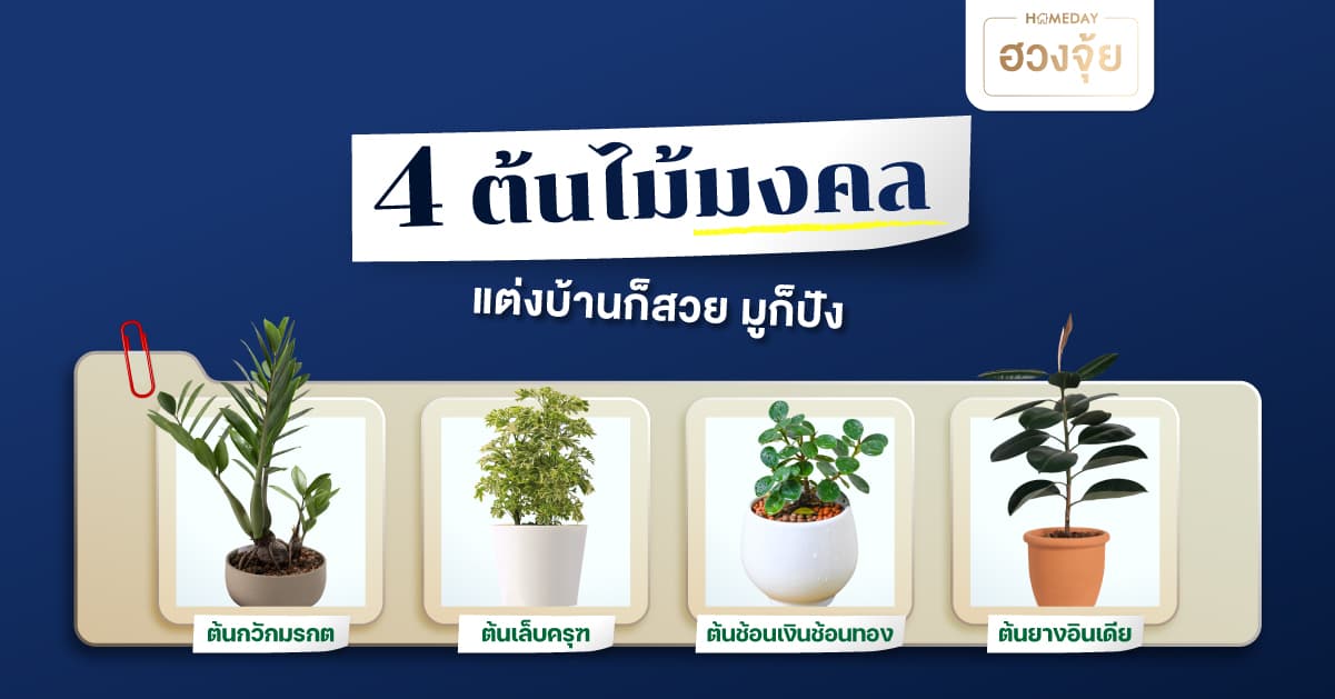 4 ต้นไม้มงคล แต่งบ้านก็สวย มูก็ปัง