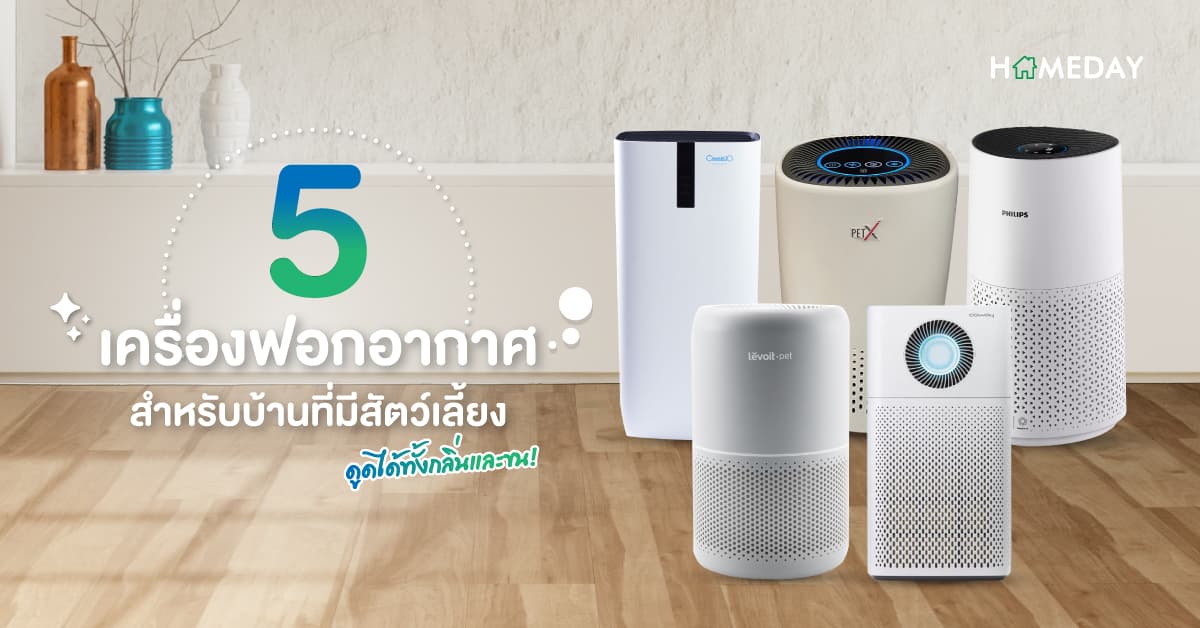 5 เครื่องฟอกอากาศ สำหรับบ้านที่มีสัตว์เลี้ยง ดูดได้ทั้งกลิ่นและขน!