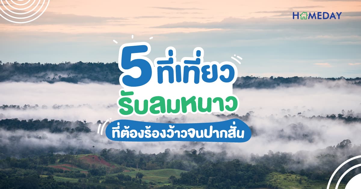 5 ที่เที่ยวรับลมหนาวที่ต้องร้องว้าวจนปากสั่น