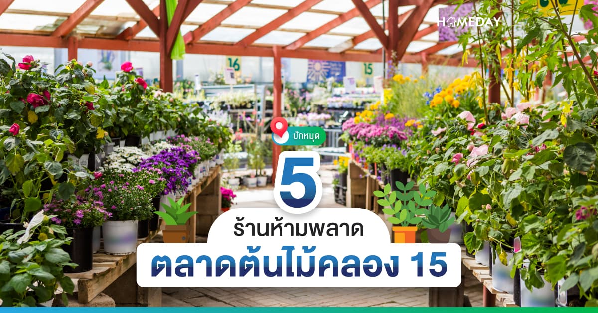 ปักหมุด 5 ร้านห้ามพลาด ตลาดต้นไม้คลอง 15