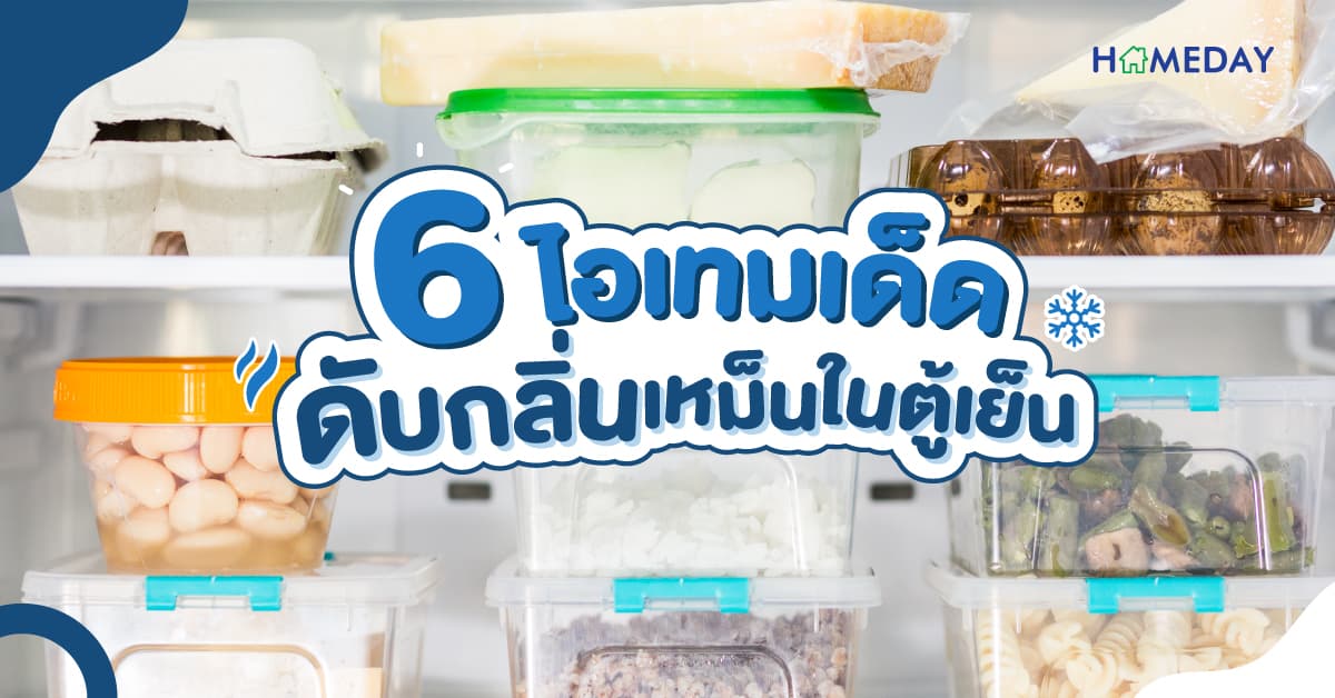 6 ไอเทมเด็ด ดับกลิ่นเหม็นในตู้เย็น