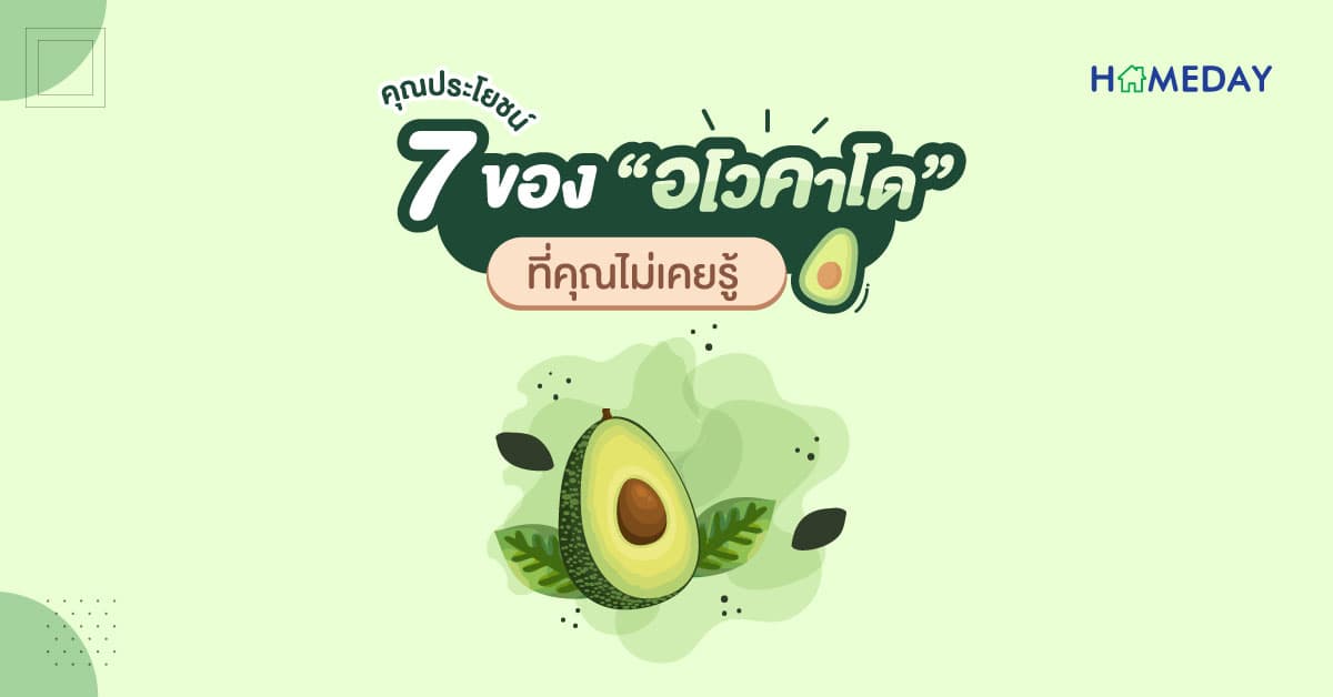 7 คุณประโยชน์ของ “อโวคาโด” ที่คุณไม่เคยรู้