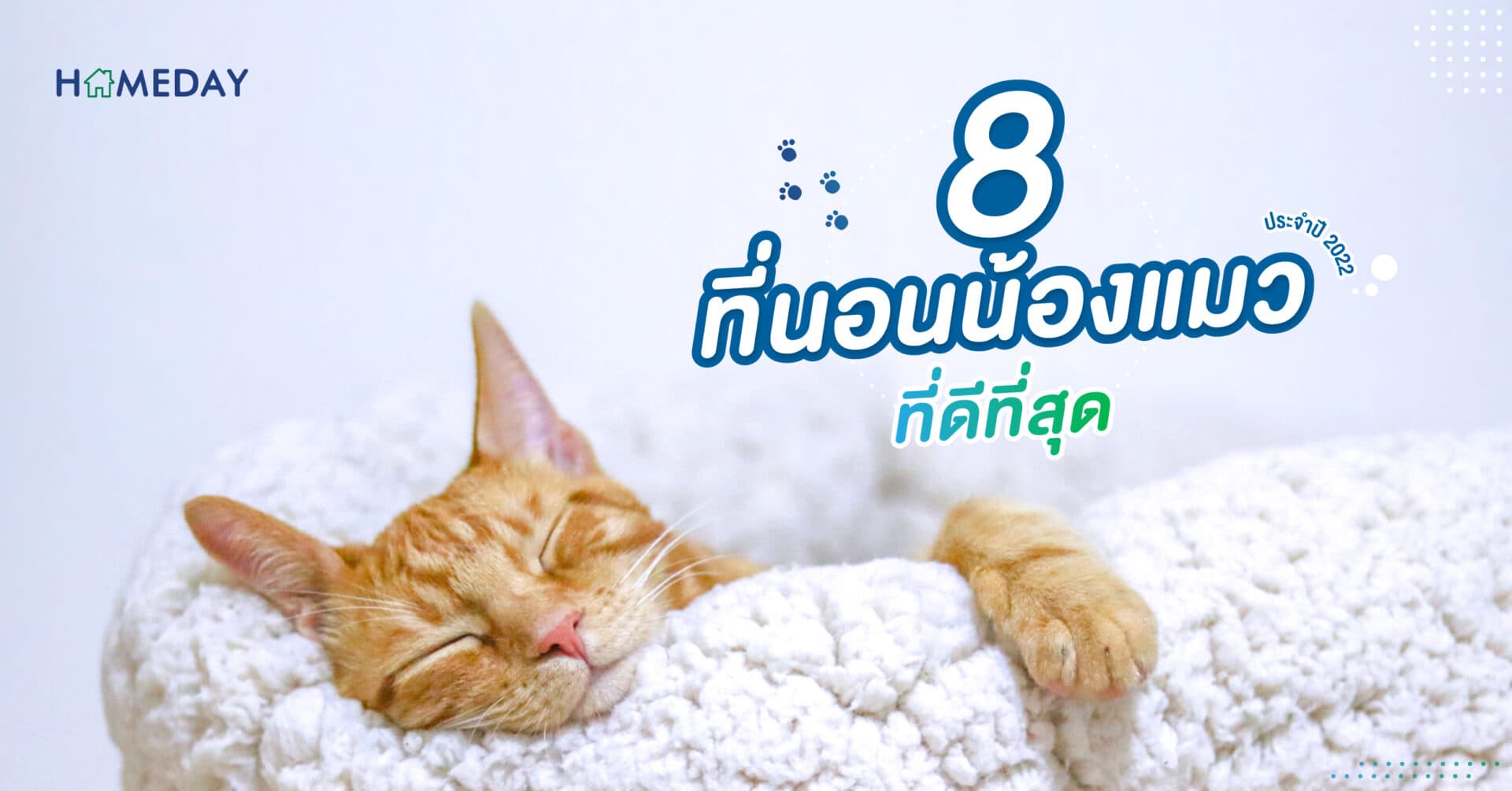 8 แบบที่นอนน้องแมวที่ดีที่สุด ประจำปี 2022