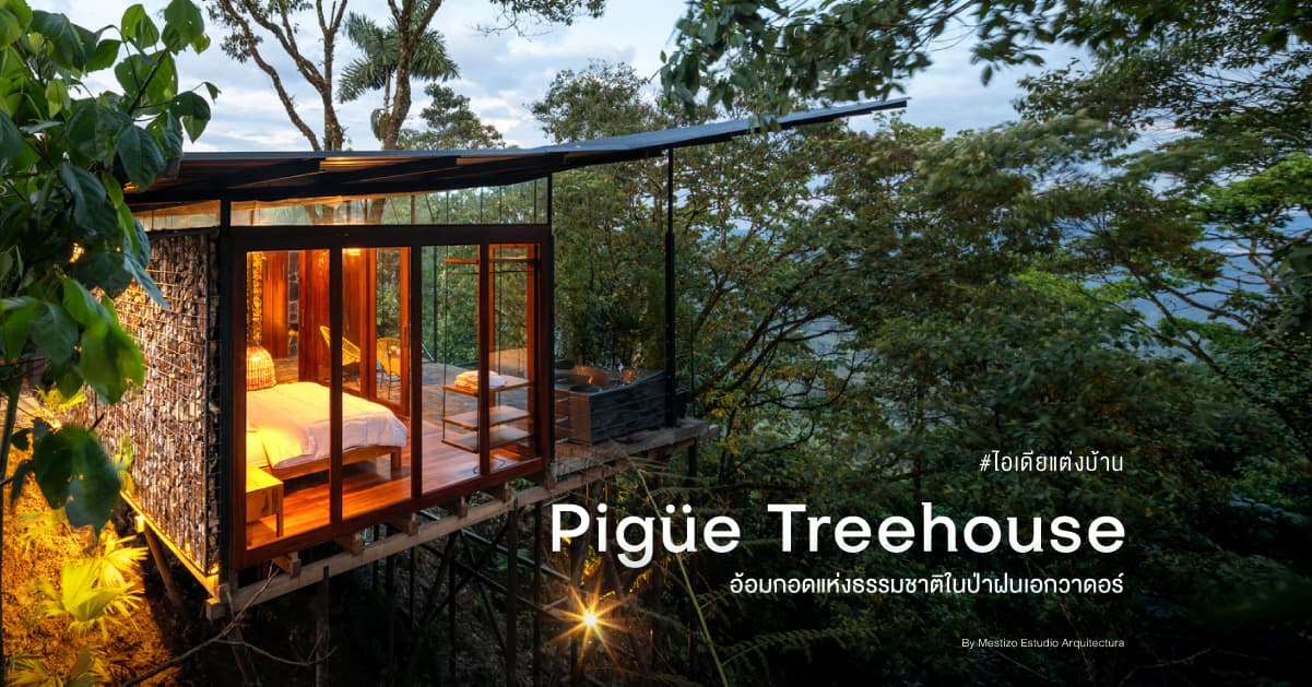 Pigüe Treehouse อ้อมกอดแห่งธรรมชาติในป่าฝนเอกวาดอร์