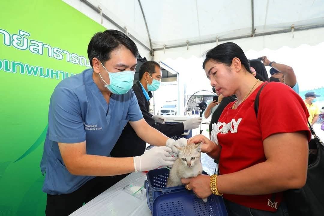 กทม. รุกมาตรการป้องกันพิษสุนัขบ้า ชวนนำสัตว์เลี้ยงฉีดวัคซีน-ใช้ “คาถา 5 ย” ป้องกันภัย