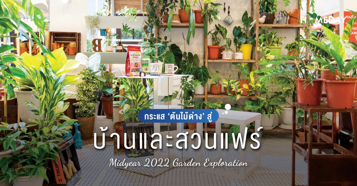 กระแส ‘ต้นไม้ด่าง’ สู่บ้านและสวนแฟร์ Midyear 2022 Garden Exploration