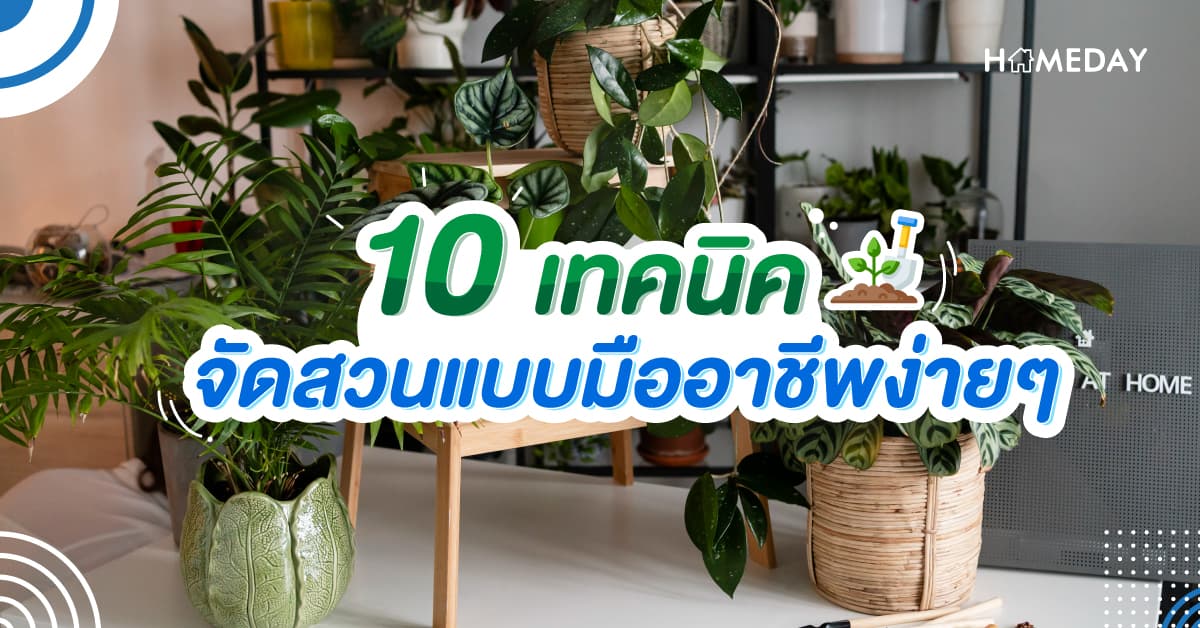 10 เทคนิค จัดสวนแบบมืออาชีพง่ายๆ