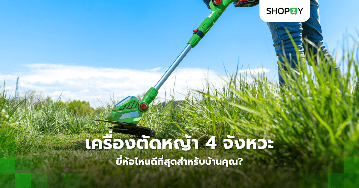 เครื่องตัดหญ้า 4 จังหวะยี่ห้อไหนดีที่สุดสำหรับบ้านคุณ?