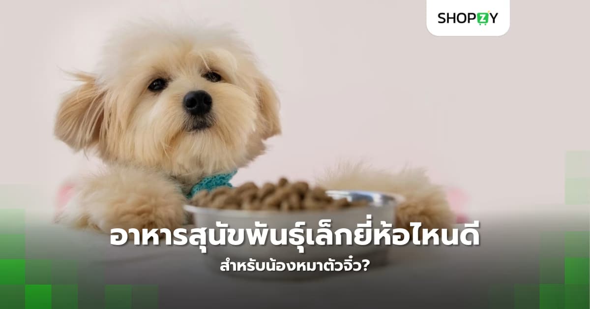 อาหารสุนัขพันธุ์เล็กยี่ห้อไหนดีที่สุดสำหรับน้องหมาตัวจิ๋ว?