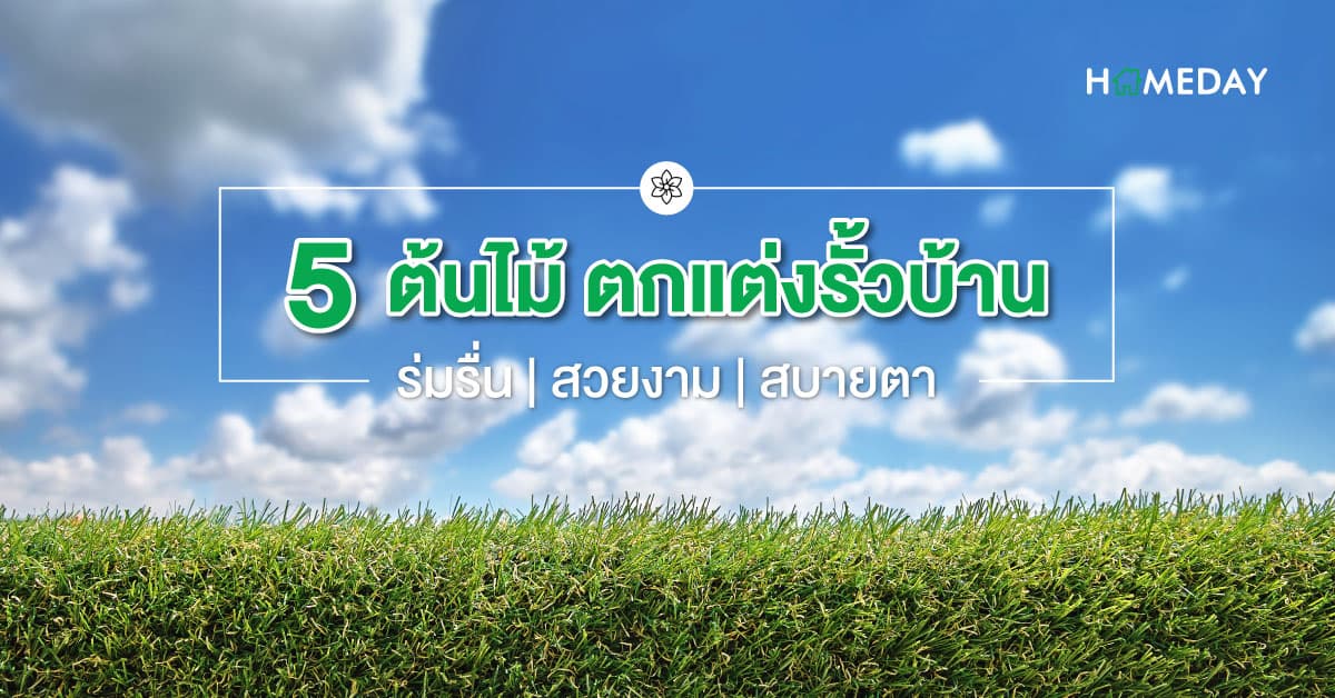 5 ต้นไม้ ตกแต่งรั้วบ้าน ร่มรื่น สวยงาม สบายตา