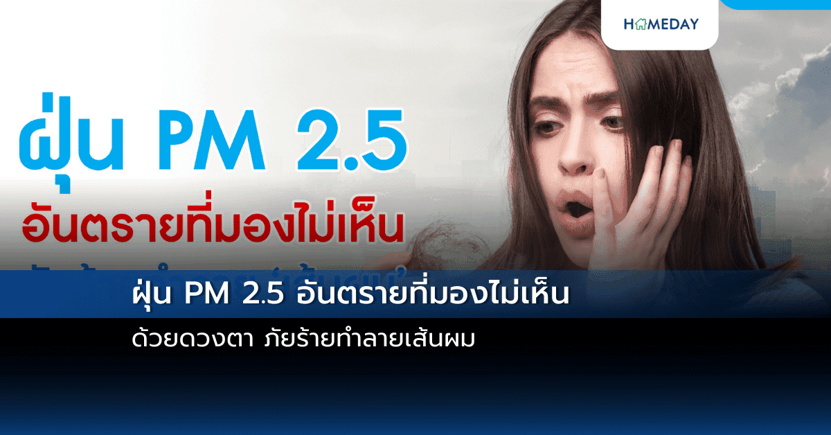 ฝุ่น PM 2.5 อันตรายที่มองไม่เห็นด้วยดวงตา ภัยร้ายทำลายเส้นผม