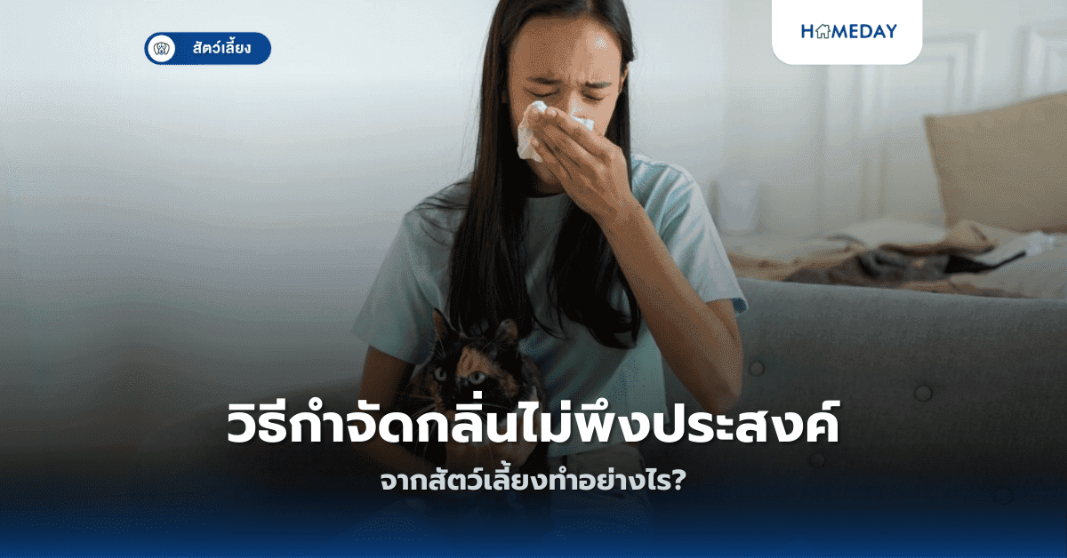 วิธีกำจัดกลิ่นไม่พึงประสงค์จากสัตว์เลี้ยงทำอย่างไร?