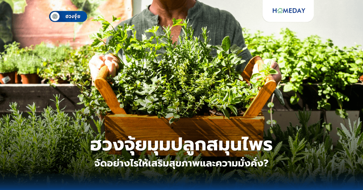 ฮวงจุ้ยมุมปลูกสมุนไพร จัดอย่างไรให้เสริมสุขภาพและความมั่งคั่ง?