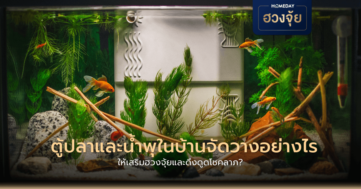 ตู้ปลาและน้ำพุในบ้านจัดวางอย่างไร ให้เสริมฮวงจุ้ยและดึงดูดโชคลาภ?