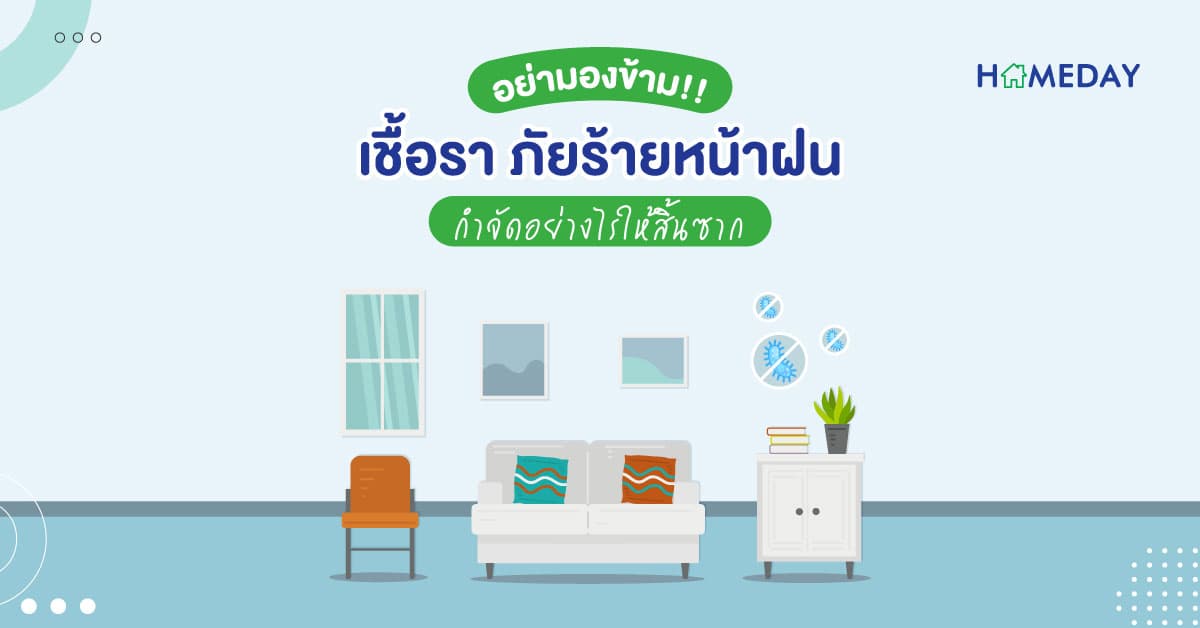 อย่ามองข้าม!! เชื้อรา ภัยร้ายหน้าฝน กำจัดอย่างไรให้สิ้นซาก