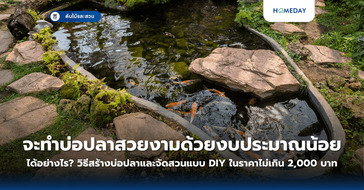 จะทำบ่อปลาสวยงามด้วยงบประมาณน้อยได้อย่างไร? วิธีสร้างบ่อปลาและจัดสวนแบบ DIY ในราคาไม่เกิน 2,000 บาท