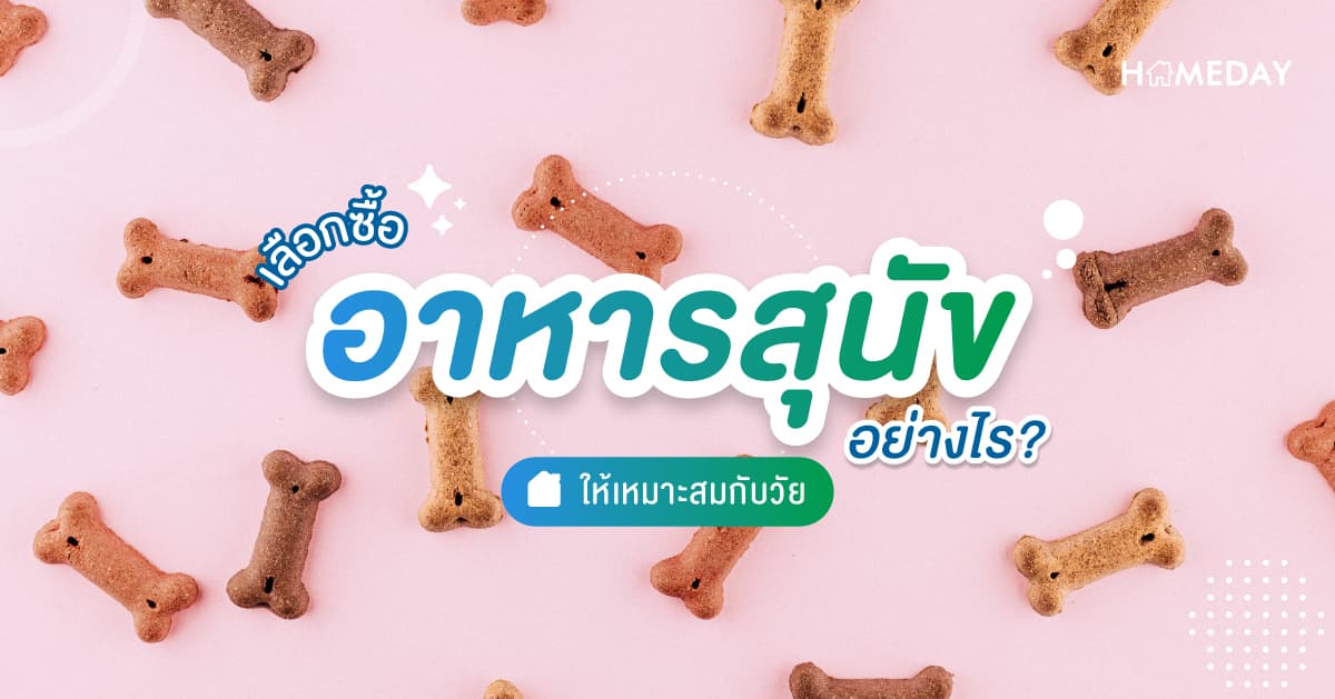 เลือกซื้ออาหารสุนัขอย่างไร? ให้เหมาะสมกับวัย