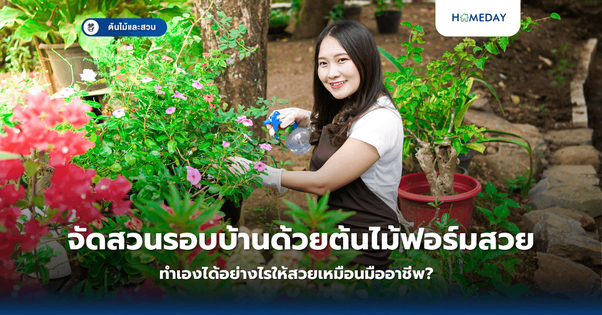 จัดสวนรอบบ้านด้วยต้นไม้ฟอร์มสวย ทำเองได้อย่างไรให้สวยเหมือนมืออาชีพ?