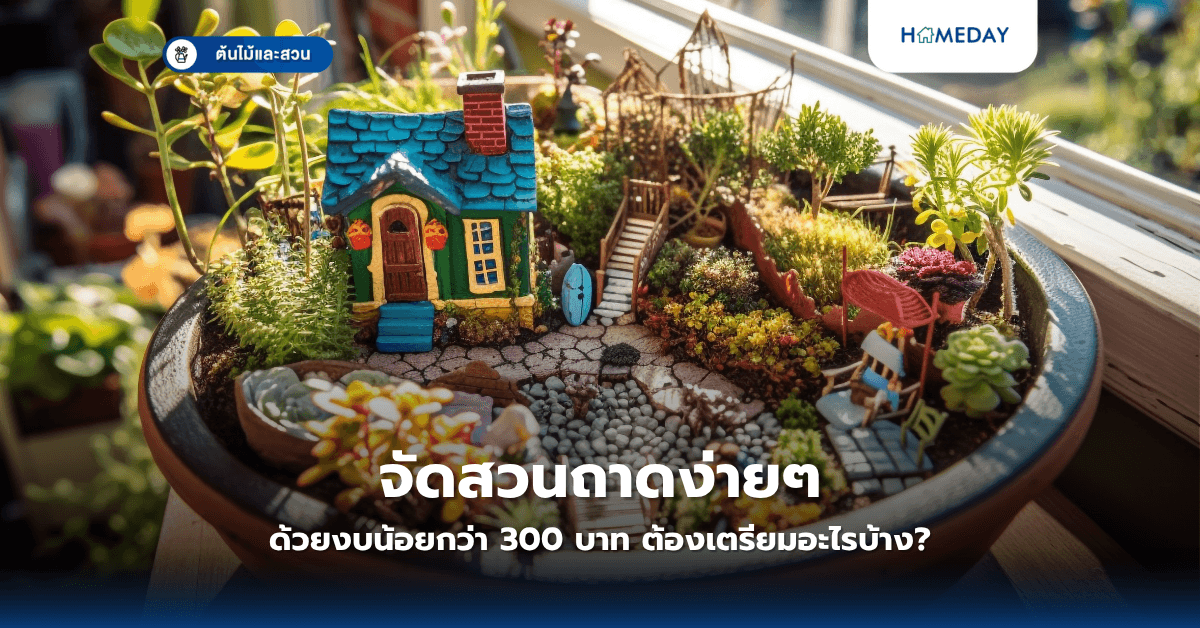 จัดสวนถาดง่ายๆ ด้วยงบน้อยกว่า 300 บาท ต้องเตรียมอะไรบ้าง?