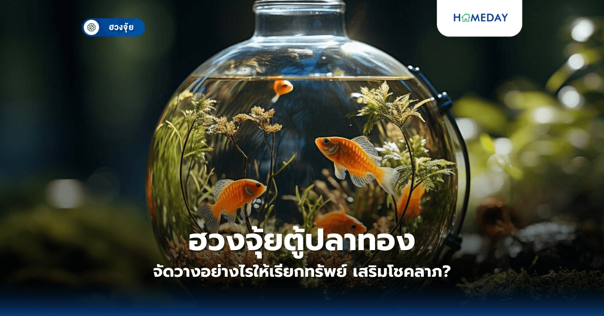 ฮวงจุ้ยตู้ปลาทอง: จัดวางอย่างไรให้เรียกทรัพย์ เสริมโชคลาภ?